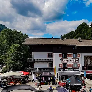 3* Отель Pinzgauerhof - Inclusive Evening Dinner